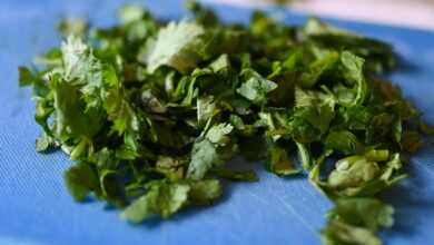 cilantro, coriander, food