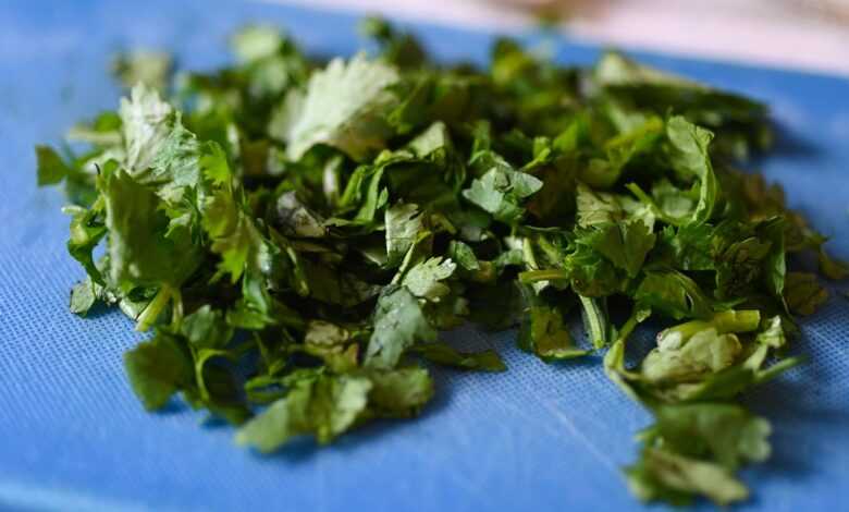 cilantro, coriander, food