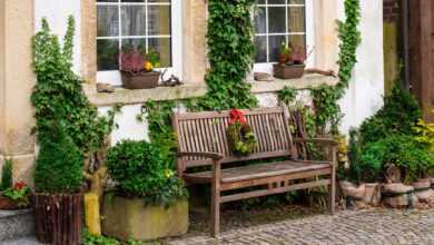 bench, facade, garden