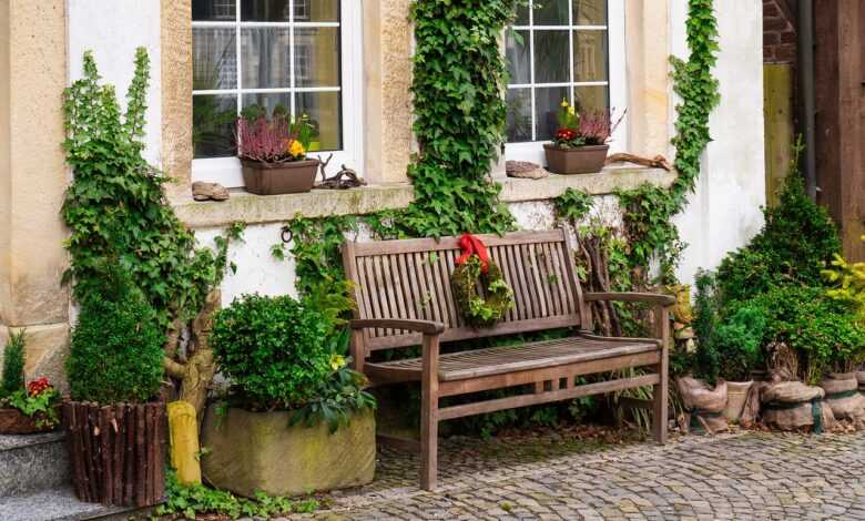 bench, facade, garden