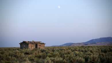 cabin, countryside, shelter