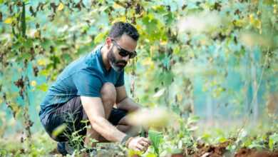 agriculture, man, farmer, gardener, male, farmer, farmer, farmer, farmer, farmer, gardener, gardener