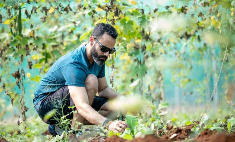 agriculture, man, farmer, gardener, male, farmer, farmer, farmer, farmer, farmer, gardener, gardener