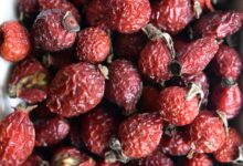 rosehips, dried rosehips, rosehip berries, dried rosehip berries
