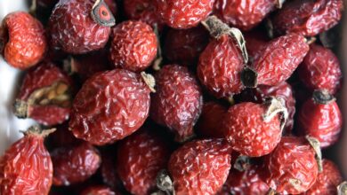 rosehips, dried rosehips, rosehip berries, dried rosehip berries