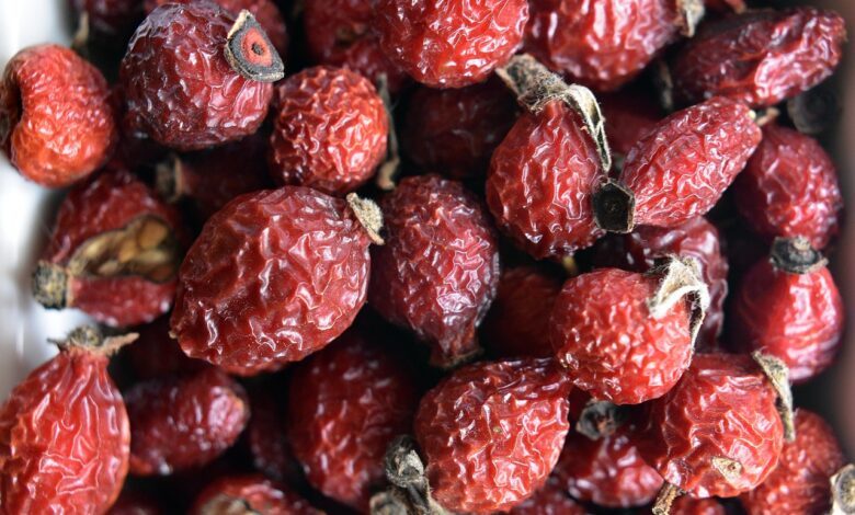 rosehips, dried rosehips, rosehip berries, dried rosehip berries