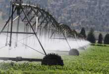 irrigation, sprinklers, agriculture, drought, climate, change, field, irrigation, irrigation, irrigation, irrigation, irrigation