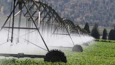 irrigation, sprinklers, agriculture, drought, climate, change, field, irrigation, irrigation, irrigation, irrigation, irrigation