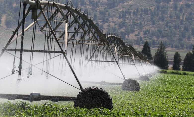 irrigation, sprinklers, agriculture, drought, climate, change, field, irrigation, irrigation, irrigation, irrigation, irrigation