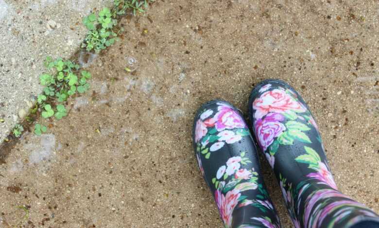 pair of black-and-multicolored floral boots