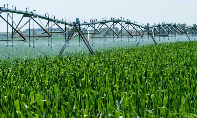 a sprinkler spraying water on a green field