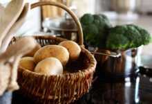 kitchen, cooking pot, cook