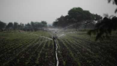 sprinkler, irrigation, water management, agriculture, water conservation, sustainability, farmland, sprinkler, sprinkler, sprinkler, sprinkler, sprinkler, irrigation, irrigation, irrigation, irrigation, water management, water management