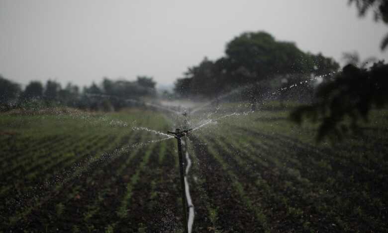 sprinkler, irrigation, water management