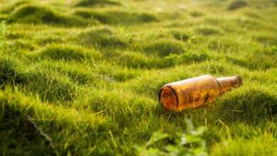 bottle, pollution, garbage, grass, lawn, nature, environmental protection, beer bottle, bottle, bottle, pollution, pollution, pollution, pollution, pollution, garbage, garbage, lawn, lawn, environmental protection, environmental protection, environmental protection, beer bottle