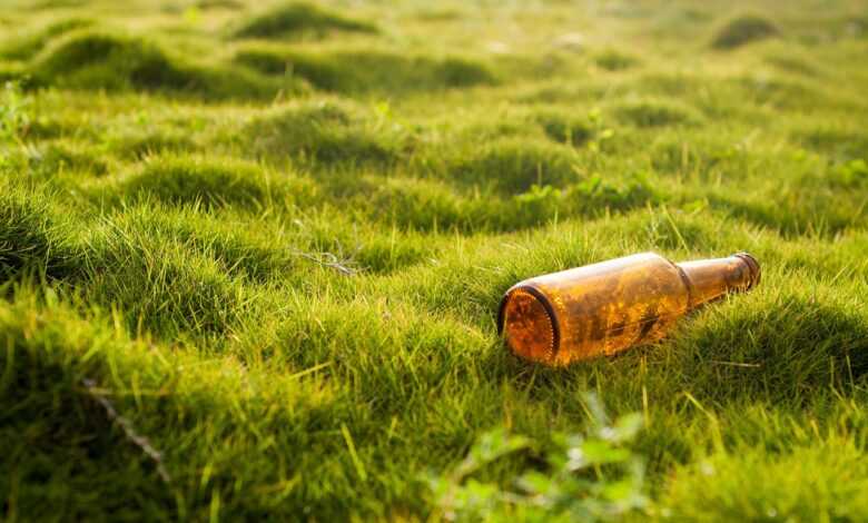 bottle, pollution, garbage, grass, lawn, nature, environmental protection, beer bottle, bottle, bottle, pollution, pollution, pollution, pollution, pollution, garbage, garbage, lawn, lawn, environmental protection, environmental protection, environmental protection, beer bottle