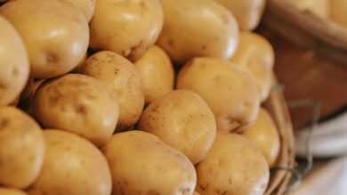 Basket with fresh potatoes placed on counter in market