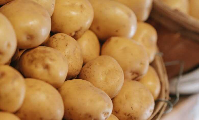 Basket with fresh potatoes placed on counter in market