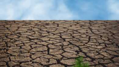 drought, ground, pxclimateaction, cracks, dry, land, earth, environment, nature, texture, soil, climate change, arid, drought, drought, ground, soil, climate change, climate change, climate change, climate change, climate change