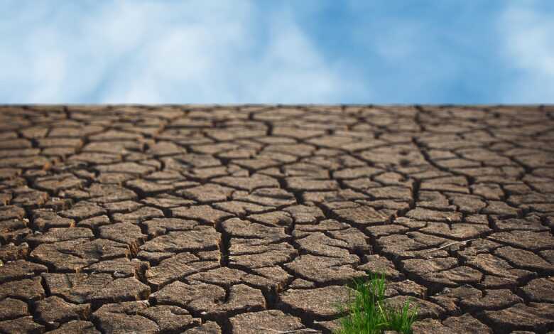 drought, ground, pxclimateaction, cracks, dry, land, earth, environment, nature, texture, soil, climate change, arid, drought, drought, ground, soil, climate change, climate change, climate change, climate change, climate change