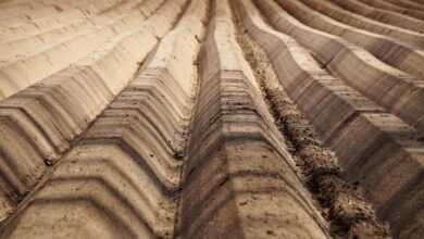 field, lines, furrow, structure, clay, soil, agriculture, shadows, fertile