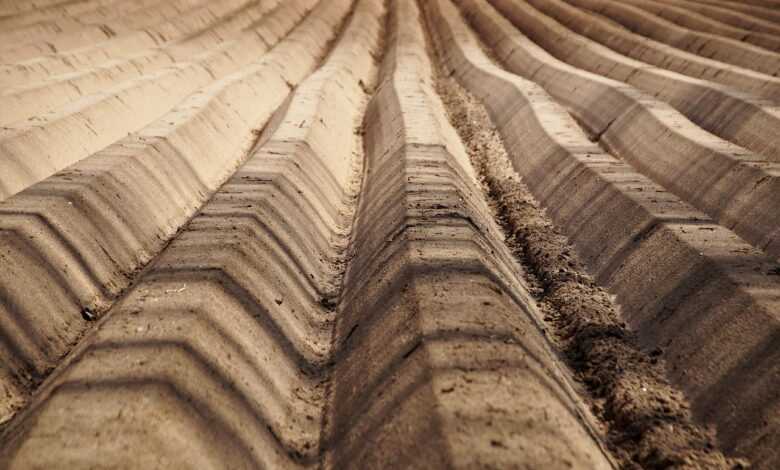 field, lines, furrow, structure, clay, soil, agriculture, shadows, fertile