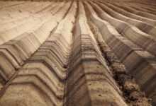field, lines, furrow, structure, clay, soil, agriculture, shadows, fertile