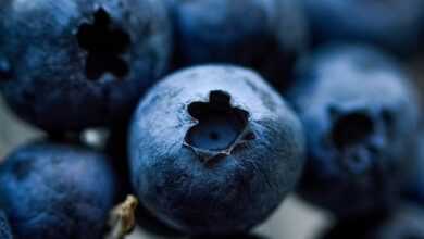 blueberries, berry, blueberry, healthy, blue, vitamins, fresh, fruit, organic, blueberries, blueberries, blueberry, blueberry, blueberry, blueberry, blueberry, fruit