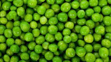peas, free background, legumes, desktop backgrounds, vegetables, wallpaper hd, full hd wallpaper, hd wallpaper, diet, free wallpaper, food, 4k wallpaper 1920x1080, fresh, freshness, green, healthy, nature, nutrition, organic, texture, background, vegetarian, vitamins, laptop wallpaper, green background, green food, beautiful wallpaper, mac wallpaper, green texture, green vegetables, windows wallpaper, 4k wallpaper, cool backgrounds, green healthy, green diet, wallpaper 4k, green nutrition