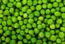 peas, free background, legumes, desktop backgrounds, vegetables, wallpaper hd, full hd wallpaper, hd wallpaper, diet, free wallpaper, food, 4k wallpaper 1920x1080, fresh, freshness, green, healthy, nature, nutrition, organic, texture, background, vegetarian, vitamins, laptop wallpaper, green background, green food, beautiful wallpaper, mac wallpaper, green texture, green vegetables, windows wallpaper, 4k wallpaper, cool backgrounds, green healthy, green diet, wallpaper 4k, green nutrition