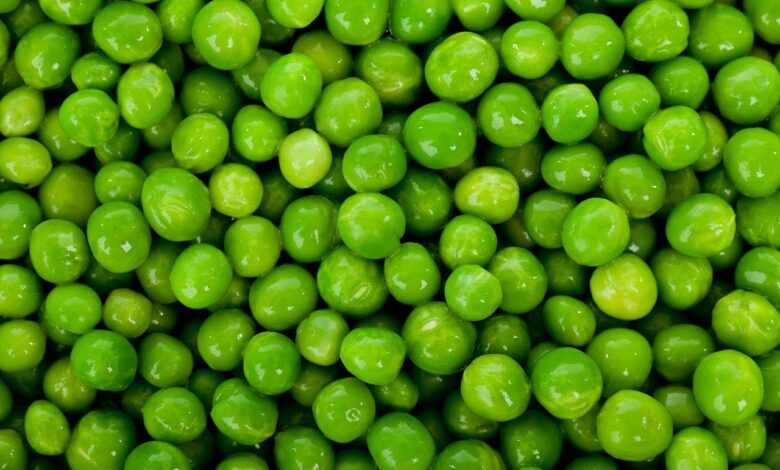 peas, free background, legumes, desktop backgrounds, vegetables, wallpaper hd, full hd wallpaper, hd wallpaper, diet, free wallpaper, food, 4k wallpaper 1920x1080, fresh, freshness, green, healthy, nature, nutrition, organic, texture, background, vegetarian, vitamins, laptop wallpaper, green background, green food, beautiful wallpaper, mac wallpaper, green texture, green vegetables, windows wallpaper, 4k wallpaper, cool backgrounds, green healthy, green diet, wallpaper 4k, green nutrition