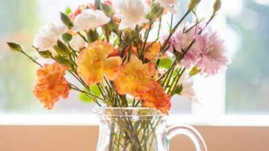 flowers, table, nature