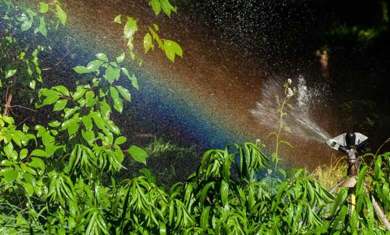 water sprinkler, rainbow, plants