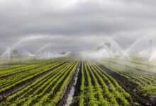irrigation, agriculture, farm, irrigation, irrigation, irrigation, irrigation, irrigation