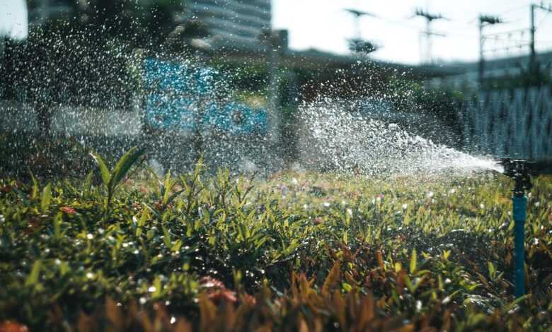 farm, agriculture, irrigation