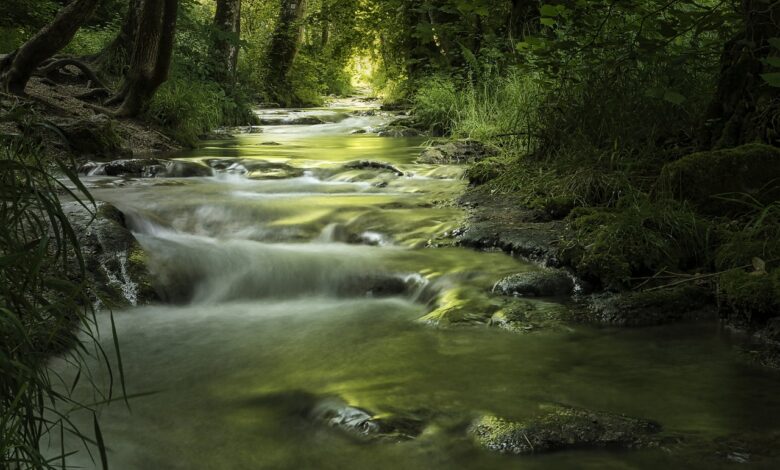 bach, moss, stream landscape, green, water, mystical, light, bruehlbach, smooth, bad urach, nature, bach, bach, green, green, green, green, green, water, smooth