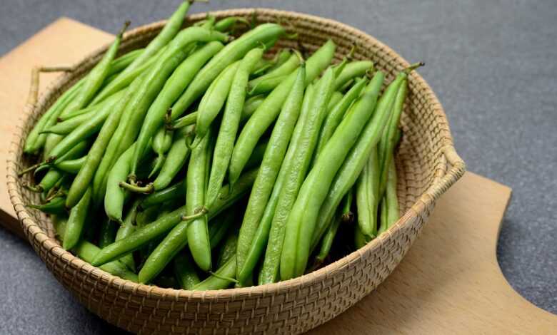 beans, green beans, bush beans