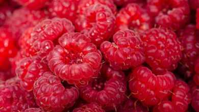 raspberries, fresh, healthy