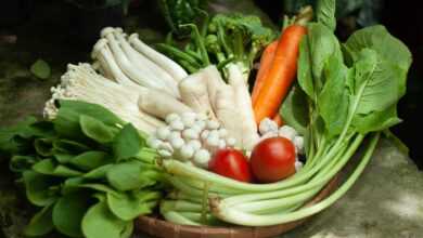 vegetables, mushroom, carrot