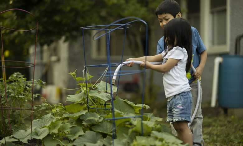 children, gardening, vegetable garden