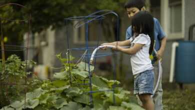children, gardening, vegetable garden, vegetable patch, kids, watering, outdoors, children, gardening, gardening, vegetable garden, vegetable garden, vegetable garden, vegetable garden, vegetable garden, vegetable patch, vegetable patch, watering