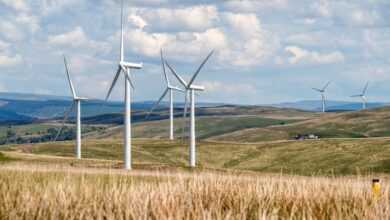 wind energy, wind farm, wind turbines, windmills, countryside, renewable energy, clean energy, wind energy, wind energy, wind energy, wind farm, wind farm, wind farm, wind turbines, wind turbines, renewable energy, renewable energy, renewable energy, renewable energy, renewable energy, clean energy, clean energy, clean energy