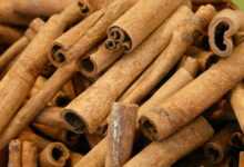 cinnamon, cinnamon sticks, dried, seasoning, bark, brown, cinnamon stick, pole, spicy, lots, heap, aromatic, cinnamon, cinnamon, cinnamon, cinnamon, cinnamon