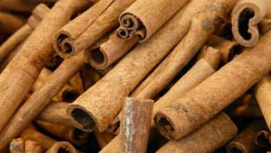 cinnamon, cinnamon sticks, dried, seasoning, bark, brown, cinnamon stick, pole, spicy, lots, heap, aromatic, cinnamon, cinnamon, cinnamon, cinnamon, cinnamon