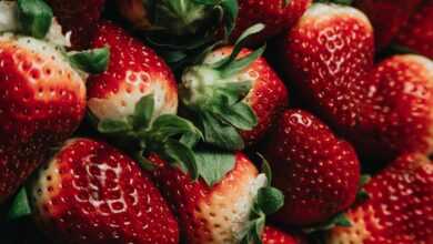 strawberries, fruits, food, fresh, healthy, ripe, organic, sweet, produce, red, food, food, food, food, food