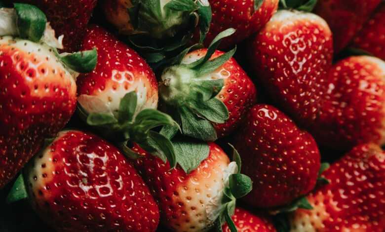 strawberries, fruits, food, fresh, healthy, ripe, organic, sweet, produce, red, food, food, food, food, food