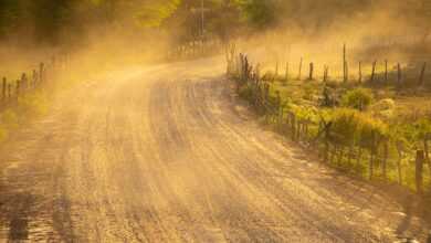 road, against light, dust