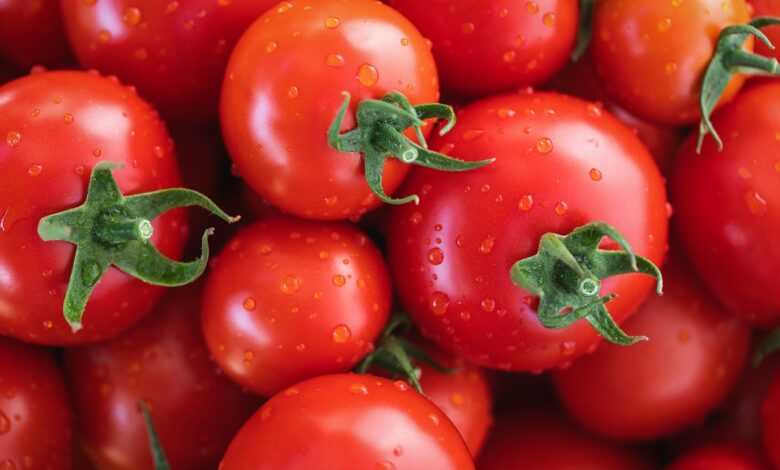 tomatoes, vegetables, fresh tomatoes, healthy, nourishment, to dye, color contest, tomatoes, tomatoes, tomatoes, tomatoes, tomatoes, vegetables, vegetables