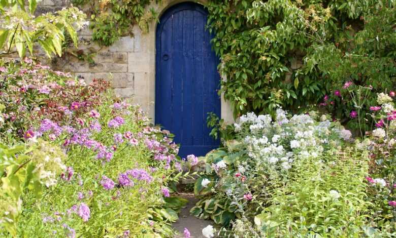 secret garden, beautiful flowers, flowers, door, doorway, flower wallpaper, garden path, path, garden, secret garden, secret garden, secret garden, secret garden, secret garden, flower background, doorway, nature, garden path