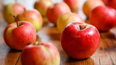 harvest, fruit, apple, ripe, red, healthy, fresh, bio, food, apple, apple, apple, apple, apple